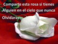 /album/chistes-by-rafael/aluienenelcielo-jpg/