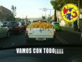 /album/chistes-by-rafael/amierdica-jpg/
